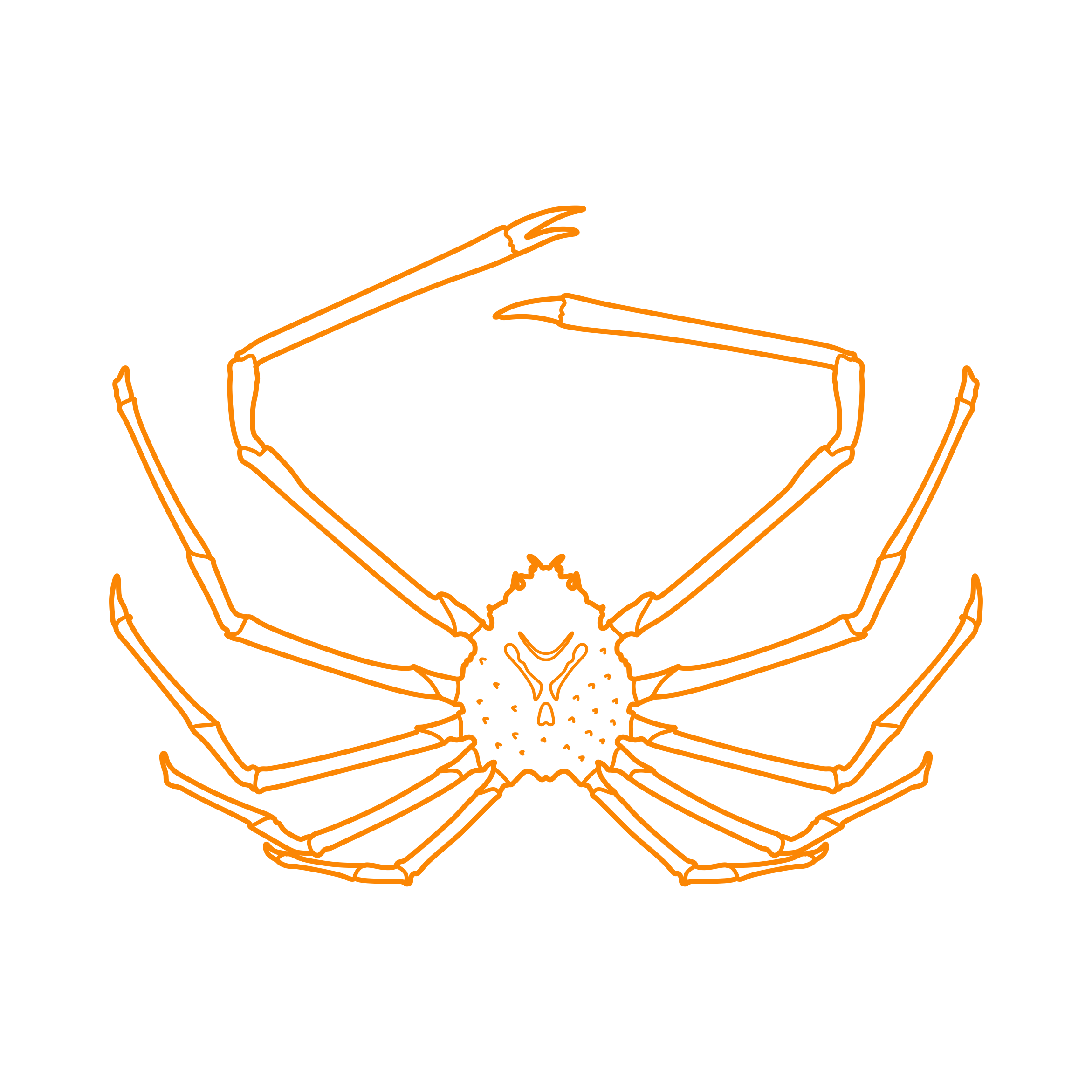 Animals Crustaceans Japanese Spider Crab Sketch Style Svg Vector Free Vectors